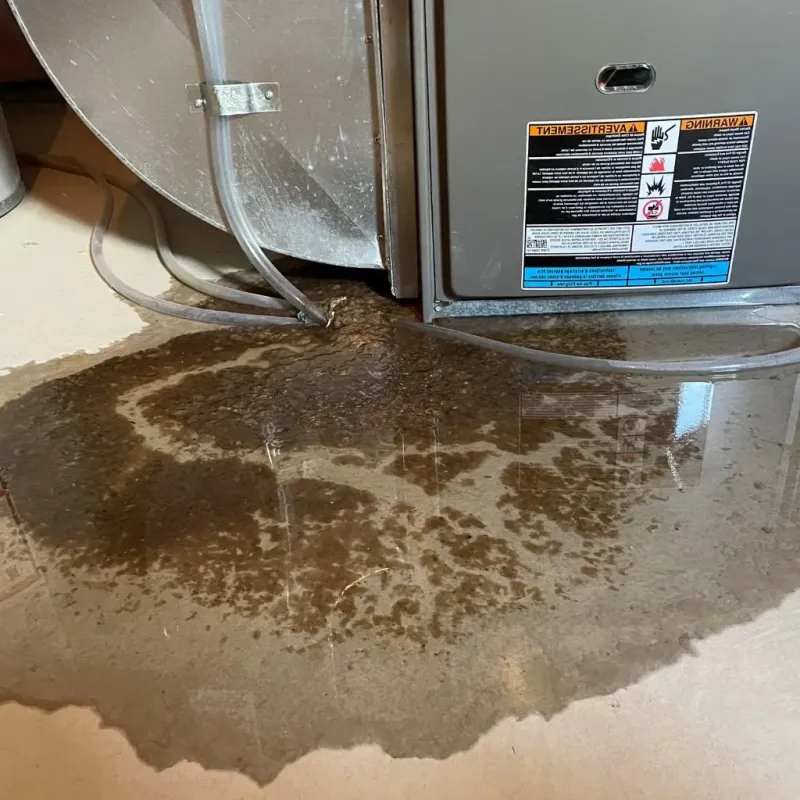 Pipe Burst and Leak Restoration in Lincoln County, TN