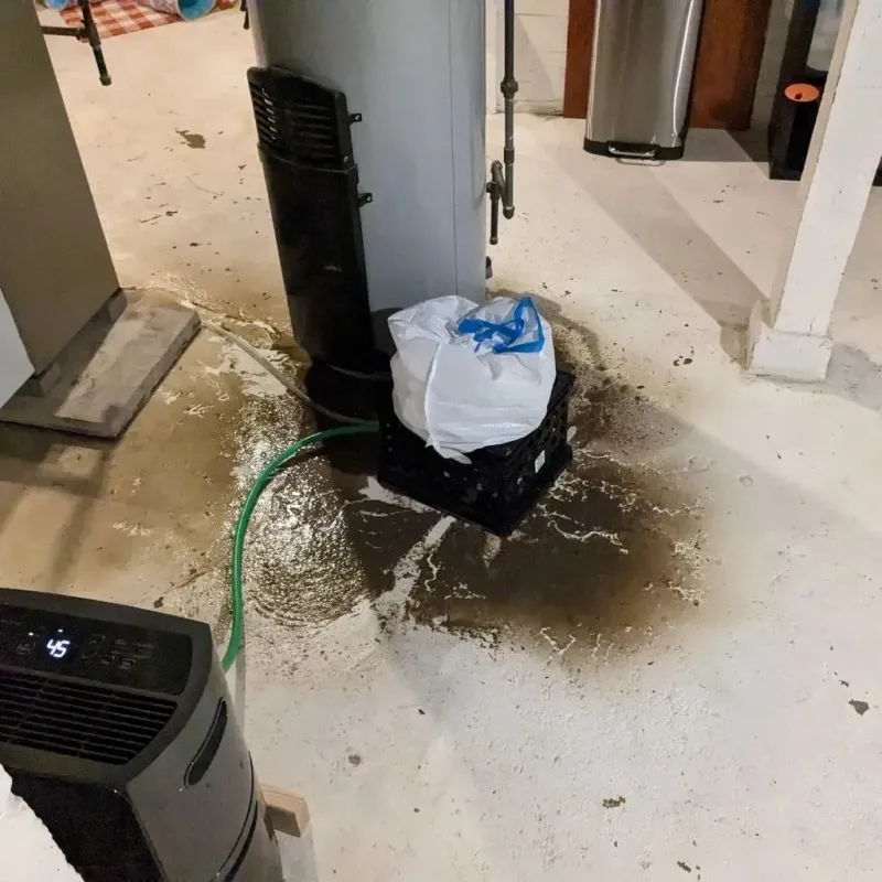 Sewage Backup Cleanup Service in Lincoln County, TN